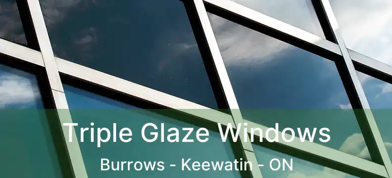  Triple Glaze Windows Burrows - Keewatin - ON
