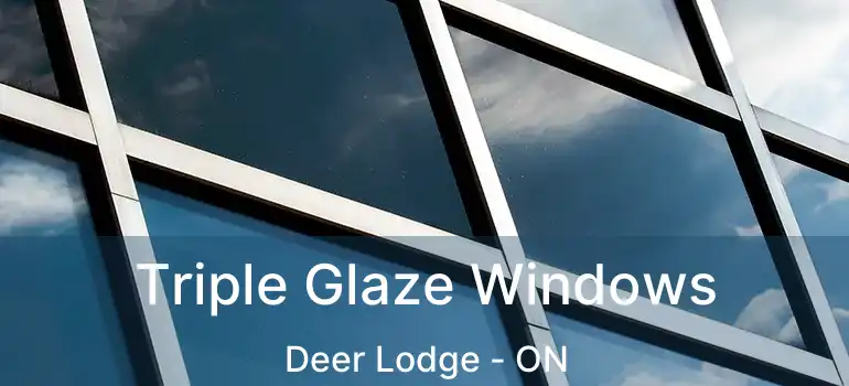  Triple Glaze Windows Deer Lodge - ON