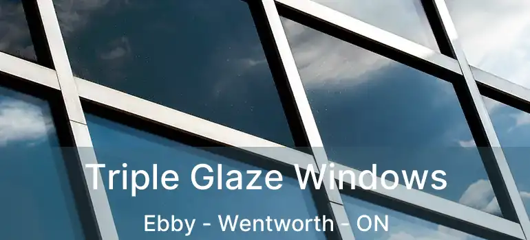  Triple Glaze Windows Ebby - Wentworth - ON