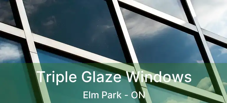  Triple Glaze Windows Elm Park - ON