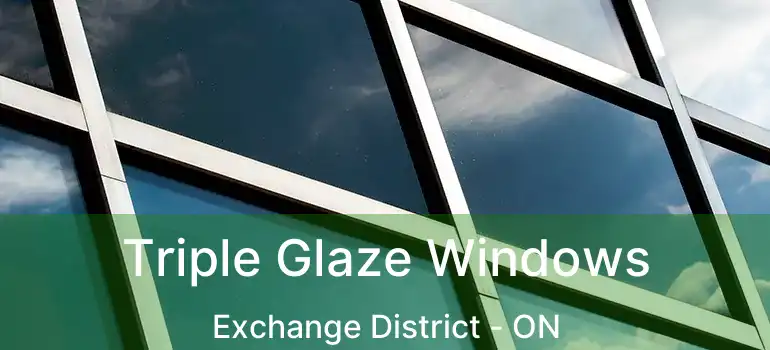  Triple Glaze Windows Exchange District - ON