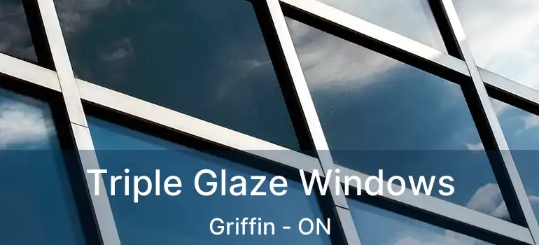  Triple Glaze Windows Griffin - ON