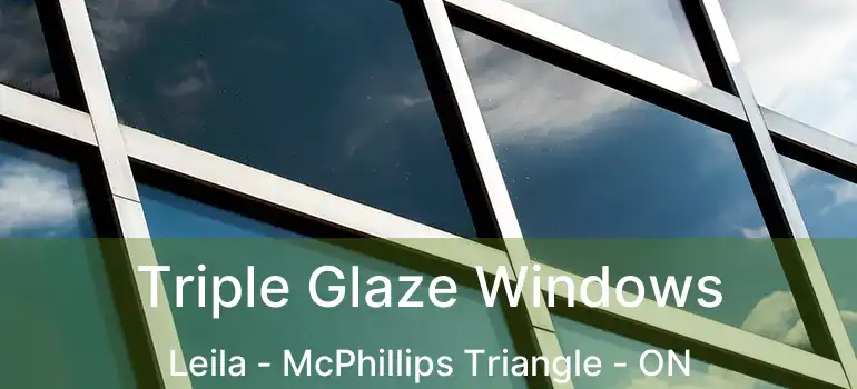  Triple Glaze Windows Leila - McPhillips Triangle - ON
