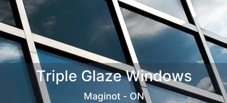  Triple Glaze Windows Maginot - ON
