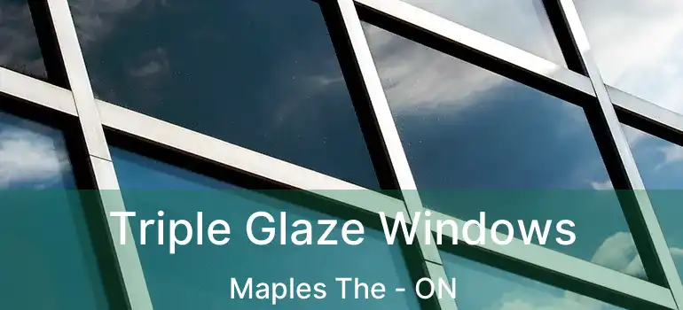  Triple Glaze Windows Maples The - ON