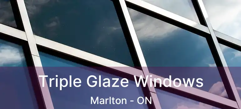  Triple Glaze Windows Marlton - ON