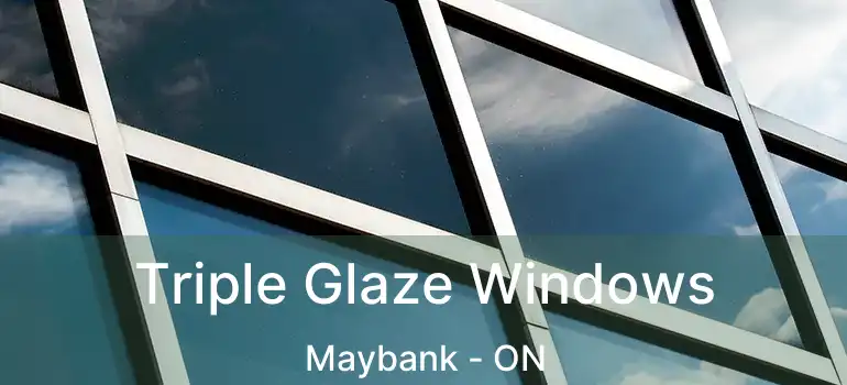  Triple Glaze Windows Maybank - ON
