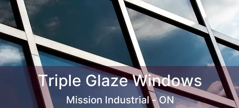  Triple Glaze Windows Mission Industrial - ON