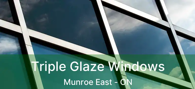  Triple Glaze Windows Munroe East - ON