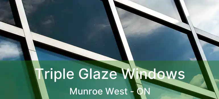  Triple Glaze Windows Munroe West - ON
