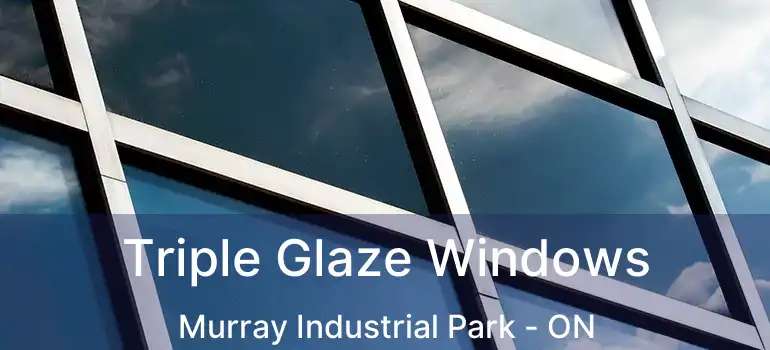  Triple Glaze Windows Murray Industrial Park - ON