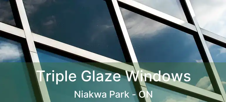  Triple Glaze Windows Niakwa Park - ON