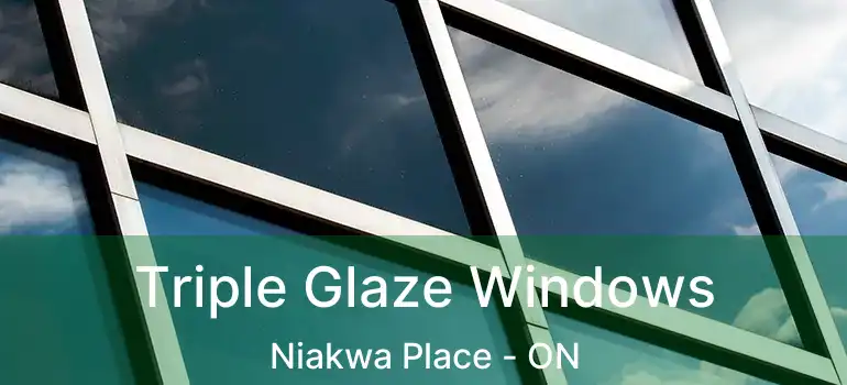  Triple Glaze Windows Niakwa Place - ON