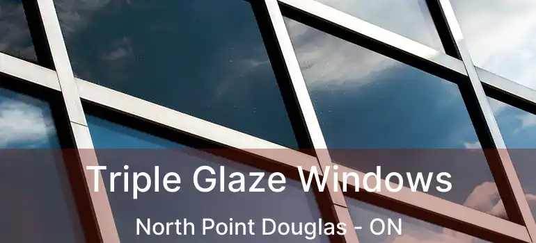  Triple Glaze Windows North Point Douglas - ON
