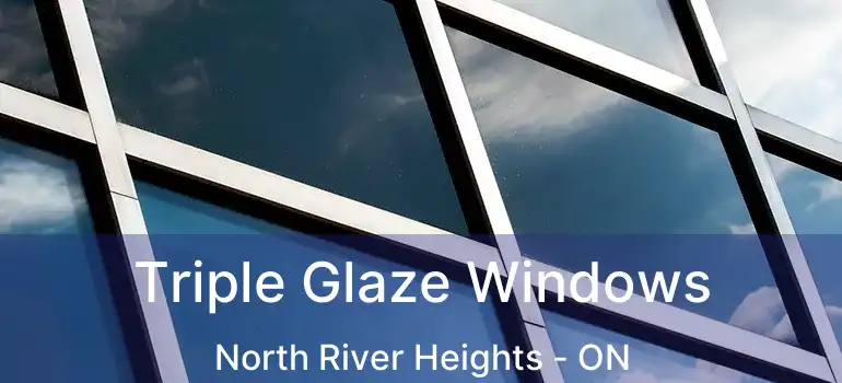  Triple Glaze Windows North River Heights - ON