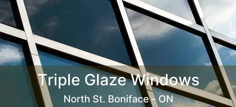  Triple Glaze Windows North St. Boniface - ON