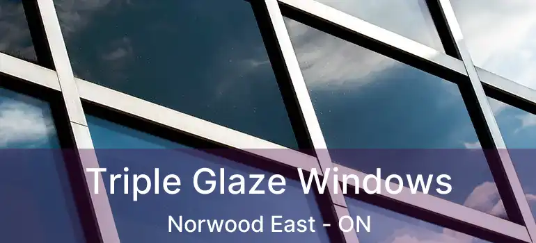 Triple Glaze Windows Norwood East - ON