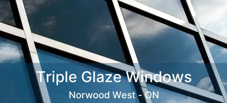  Triple Glaze Windows Norwood West - ON