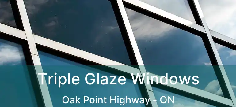  Triple Glaze Windows Oak Point Highway - ON