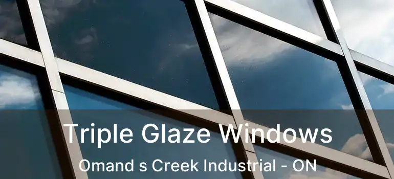  Triple Glaze Windows Omand s Creek Industrial - ON