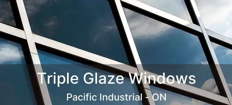 Triple Glaze Windows Pacific Industrial - ON