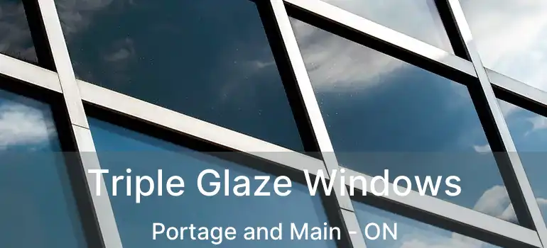  Triple Glaze Windows Portage and Main - ON