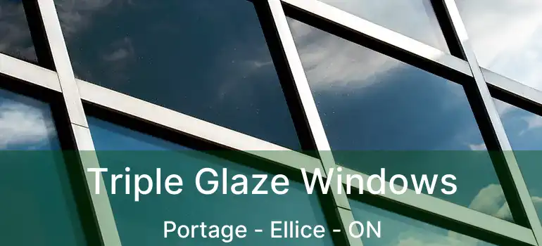  Triple Glaze Windows Portage - Ellice - ON