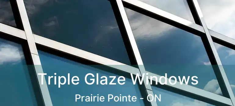  Triple Glaze Windows Prairie Pointe - ON