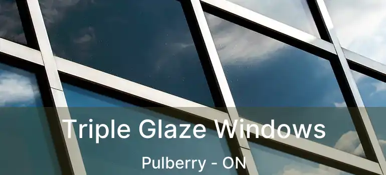  Triple Glaze Windows Pulberry - ON