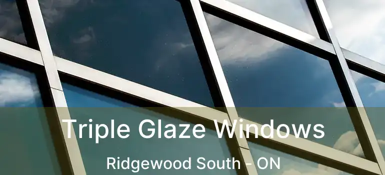  Triple Glaze Windows Ridgewood South - ON