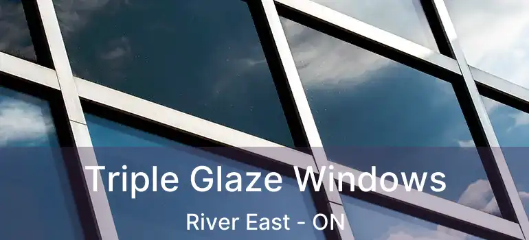  Triple Glaze Windows River East - ON