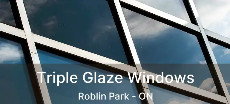  Triple Glaze Windows Roblin Park - ON