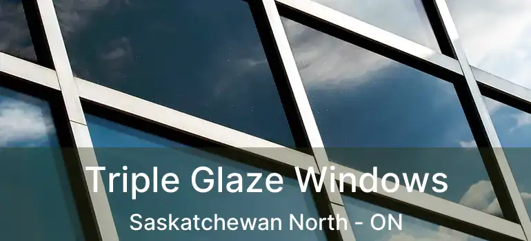  Triple Glaze Windows Saskatchewan North - ON