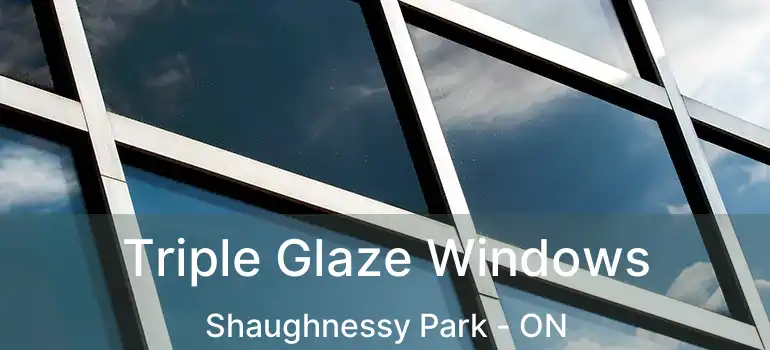 Triple Glaze Windows Shaughnessy Park - ON