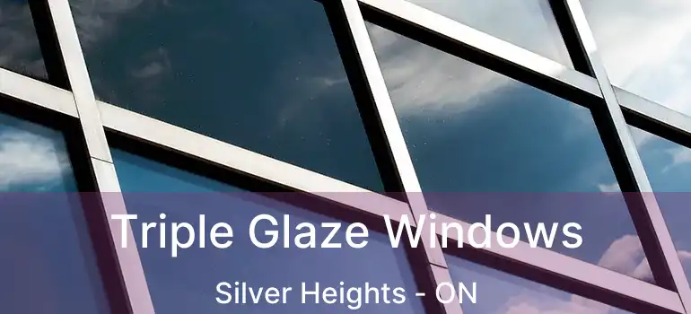  Triple Glaze Windows Silver Heights - ON