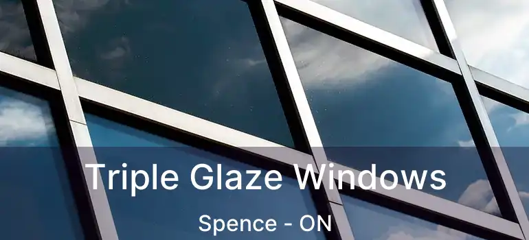  Triple Glaze Windows Spence - ON