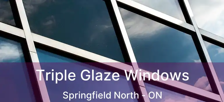  Triple Glaze Windows Springfield North - ON