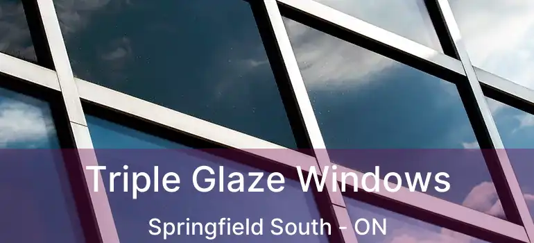  Triple Glaze Windows Springfield South - ON