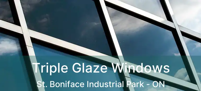  Triple Glaze Windows St. Boniface Industrial Park - ON