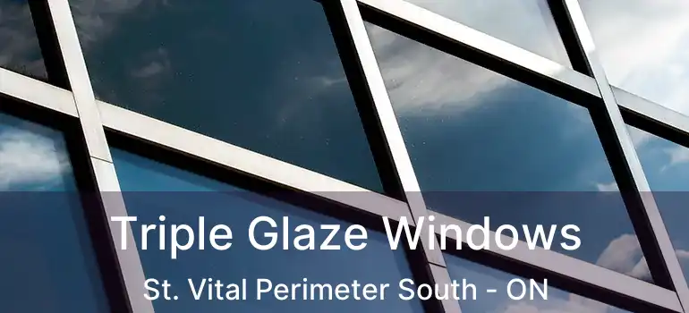  Triple Glaze Windows St. Vital Perimeter South - ON