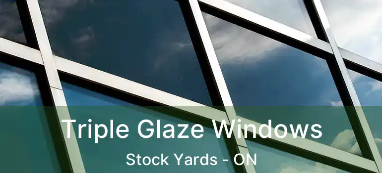  Triple Glaze Windows Stock Yards - ON