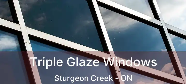  Triple Glaze Windows Sturgeon Creek - ON