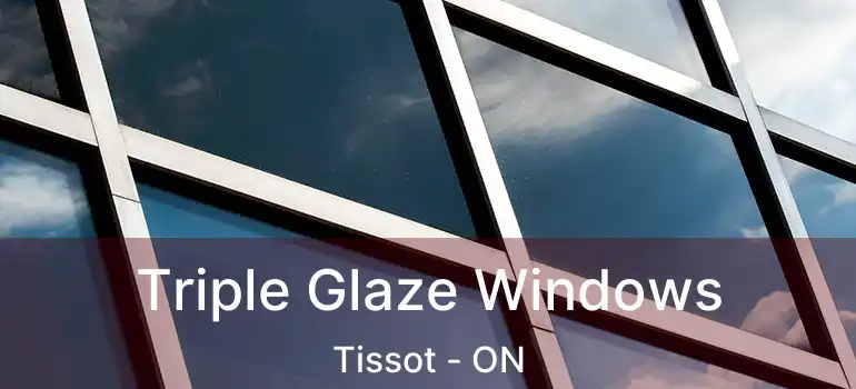  Triple Glaze Windows Tissot - ON