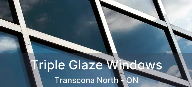  Triple Glaze Windows Transcona North - ON