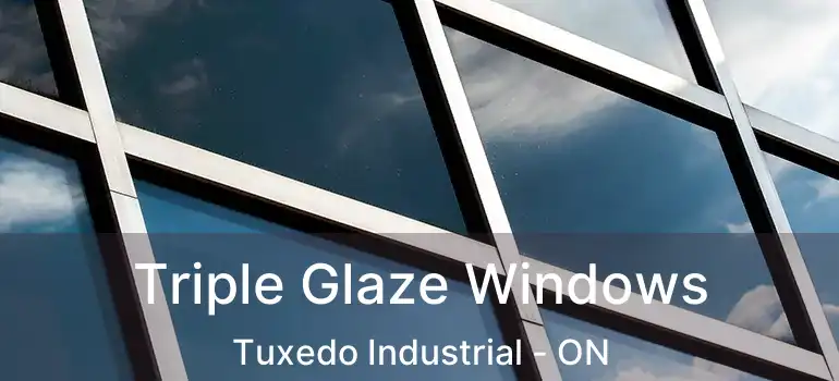  Triple Glaze Windows Tuxedo Industrial - ON