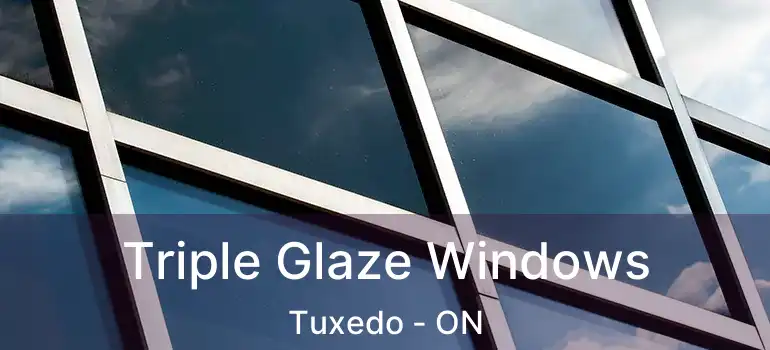  Triple Glaze Windows Tuxedo - ON