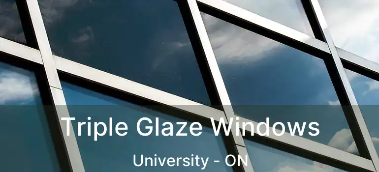  Triple Glaze Windows University - ON