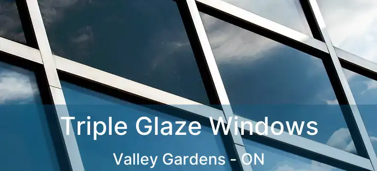  Triple Glaze Windows Valley Gardens - ON