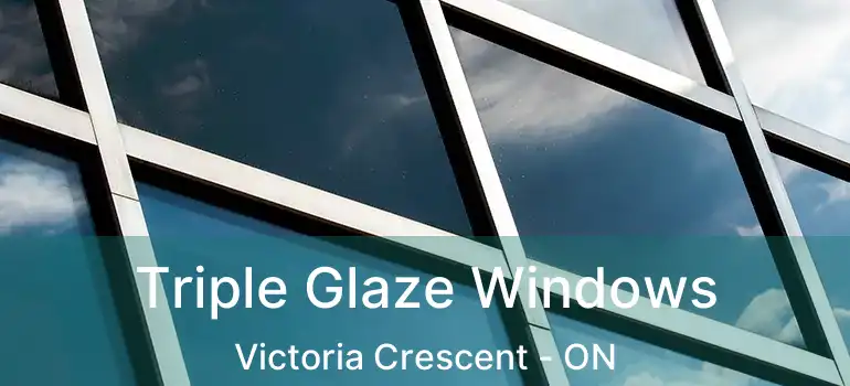  Triple Glaze Windows Victoria Crescent - ON
