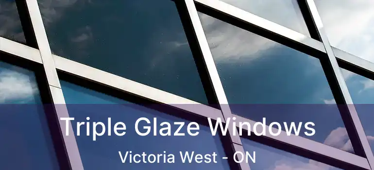  Triple Glaze Windows Victoria West - ON